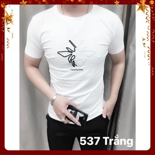 Áo thun nam 💟freeship💟 phông nam body tay ngắn cổ tròn cao cấp