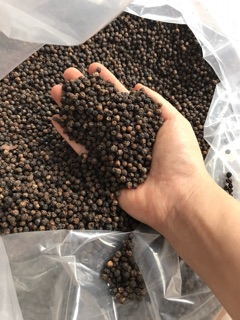 80k 1kg #Tiêu nhà trồng.