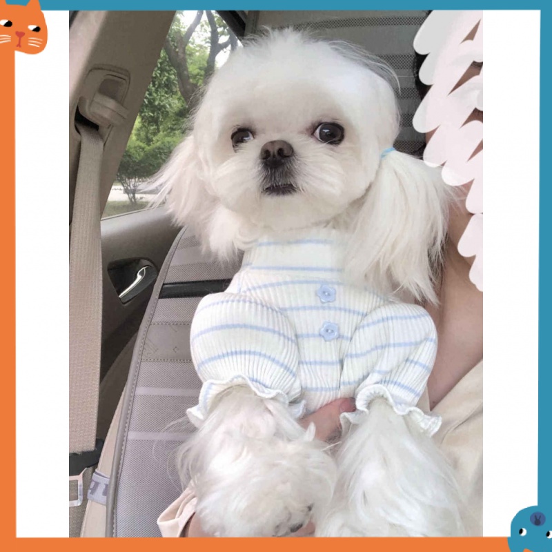 Áo Thun MùA Hè Cho Thú Cưng