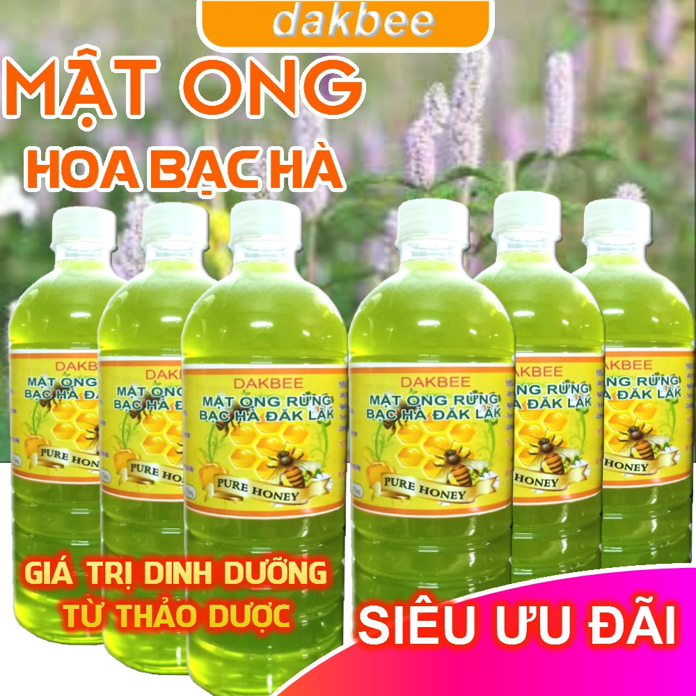 [COMBO - GIÁ SỈ] 6 lít Mật ong rừng hoa bạc hà nguyên chất Daklak tăng cường sức khỏe, sức đề kháng - DAKBEE