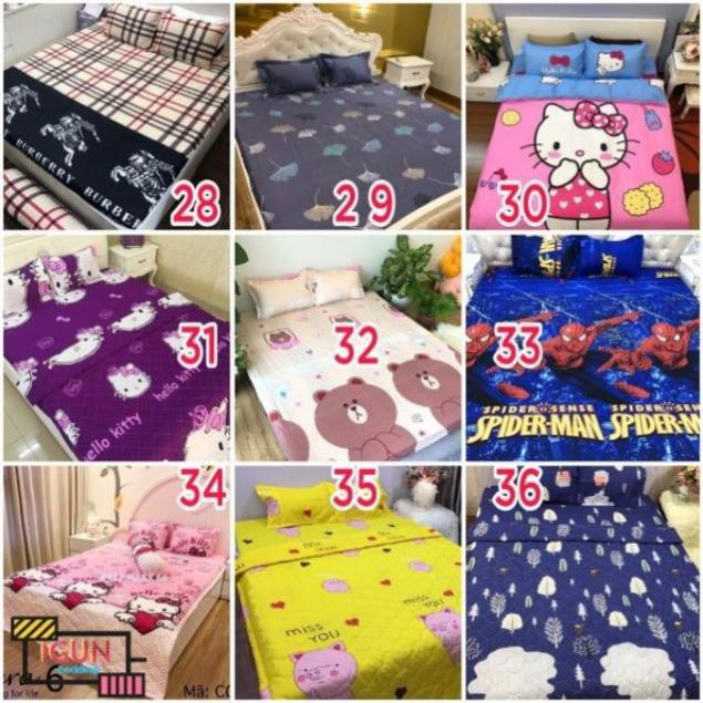 Bộ ga gối poly cotton nhiều mẫu lựa chọn mới nhất năm 2019 đầy đủ kích thước mẫu đủ màu sắc