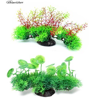 Cây Cỏ Nhân Tạo Bằng Nhựa Trang Trí Bể Cá
