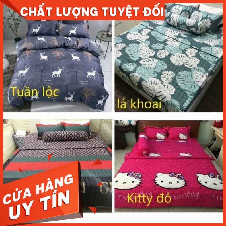 combo chăn ga gối- sunsun