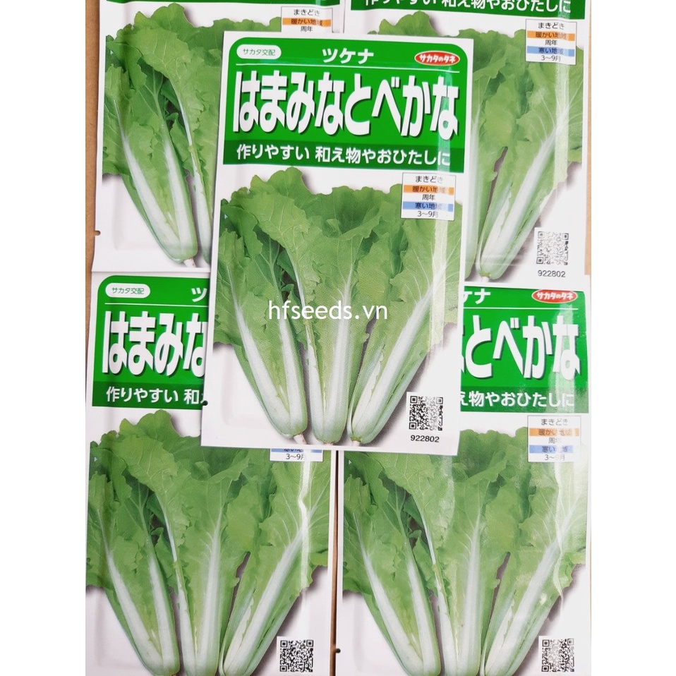 [Hạt giống Nhật Bản] Gói 200 hạt giống cải dún Nhật Bản - tỷ lệ nảy mầm 97%