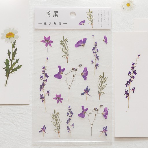 &lt;Video Review&gt; Hình Dán Sticker Cute Hoa Lá Trang Trí Sổ Trang Trí Sổ Tay Mohamm Điện Thoại Vở Khay Đựng Bút M021