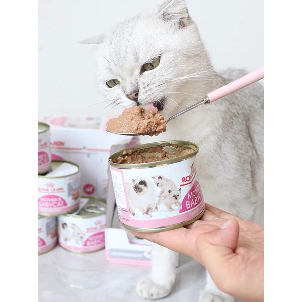 Pate Royal Canin (195G)