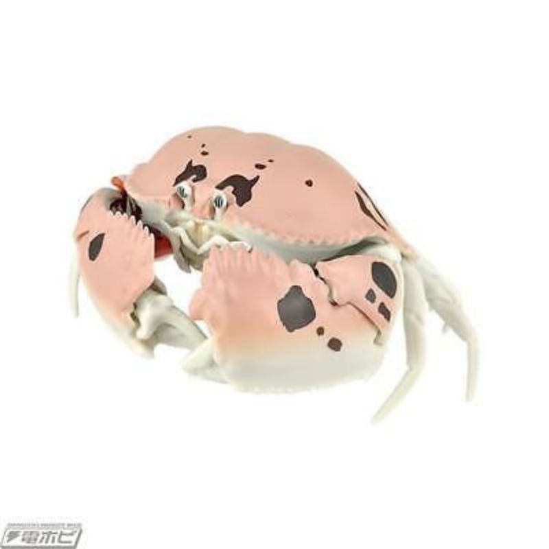 Mô hình Bandai Gashapon Tôm Hùm hàng Nhật chính hãng