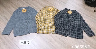 Áo khoác véc kẻ một cúc - C
