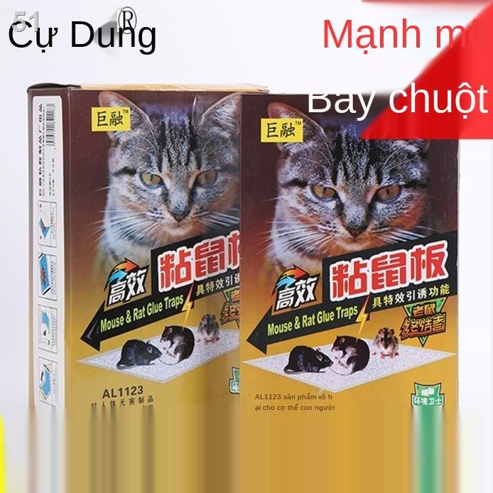 bảng dính chuột siêu mạnh thuốc đuổi dán diệt loài gặm nhấm bắt bẫy keo hiện vật gia dụngY