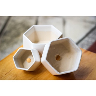 CHẬU TIỂU CẢNH - LỤC LĂNG #Vườn Chang Chang