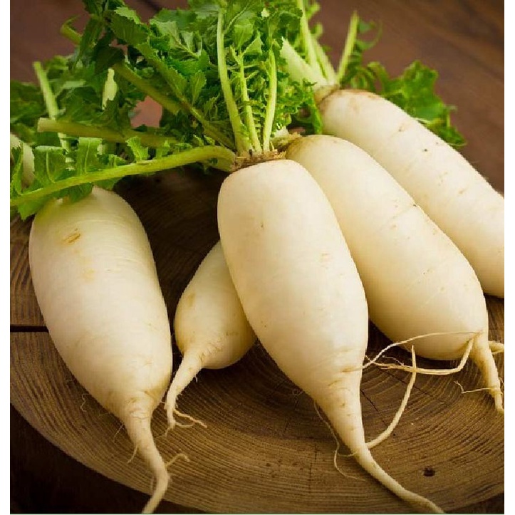 Hạt Giống Củ Cải Trắng Bạch Tuyết F1 CT168 - Gói 20gram
