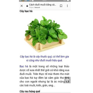 Tinh dầu đuổi muỗi Minh Khang
