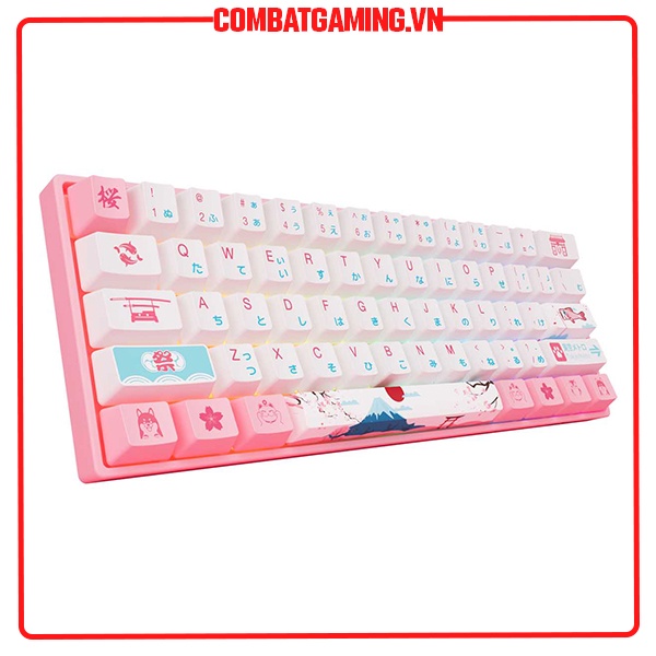 Bàn Phím Cơ AKKO 3061 World Tour Tokyo R2 RGB