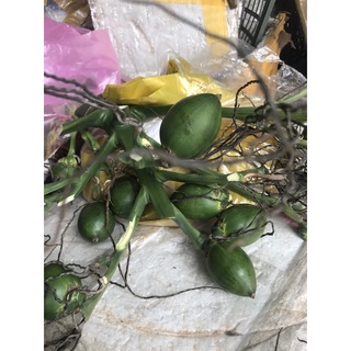 30 Trái Cau & 500gr Trầu (cau tuỳ size trái to ít hơn khách nhé)