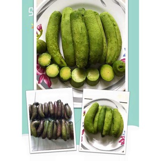 CÂY GIỐNG BƠ KHÔNG HẠT