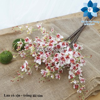 Hoa Lụa Để Bàn 🌺FREESHIP🌺 Hoa Lan Cò Cao Su