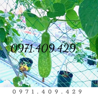 Lưới giàn dây leo, giàn leo dưa, giàn mướp ( 2x2m)