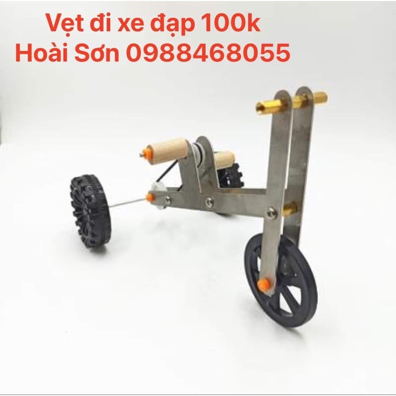 vẹt đi xe đạp