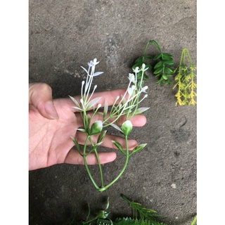 Cỏ điểm trang trí 100gram