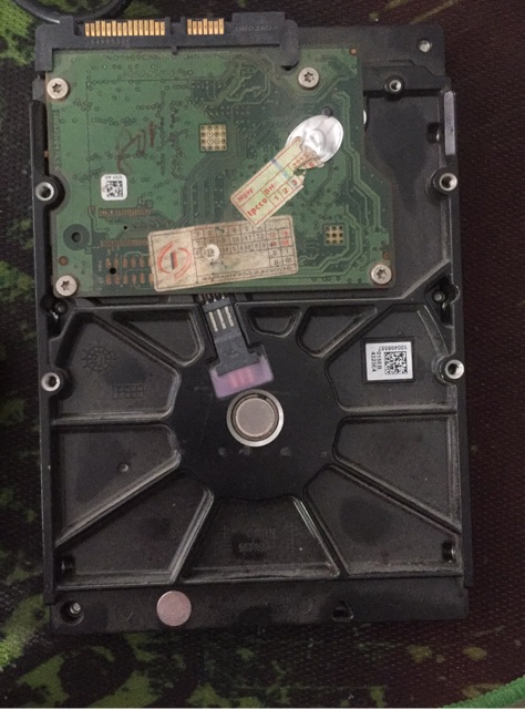 Ổ cứng máy bàn 500G seagate | BigBuy360 - bigbuy360.vn
