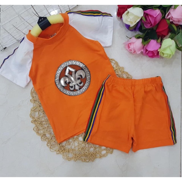 Combo cotton giấy