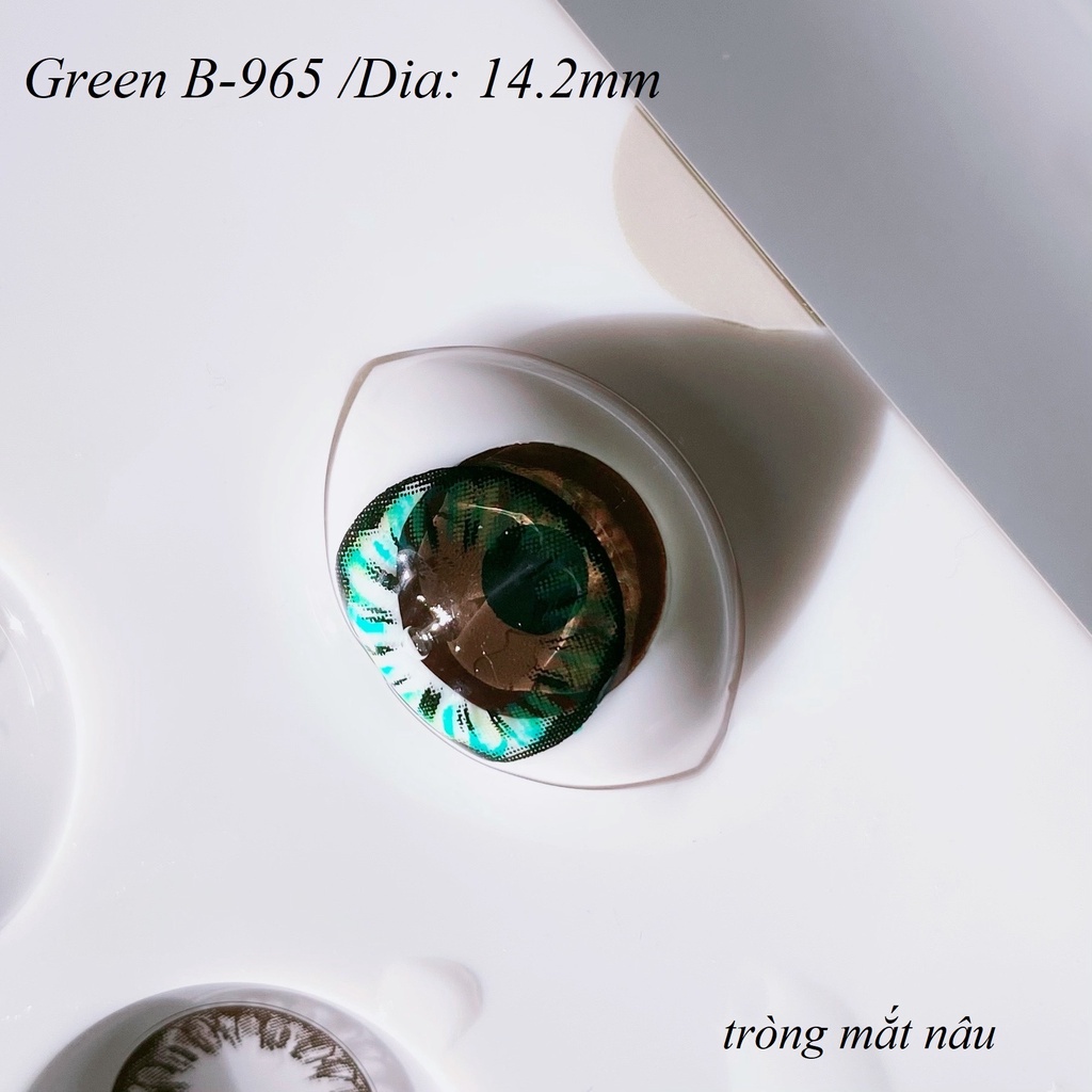 Lens Green B-965 [EXP 9/2023] (kính áp tròng Sona Hàn Quốc)