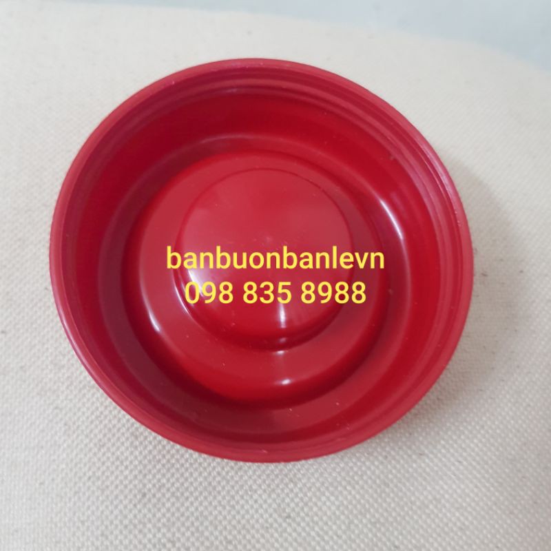 Nắp  phích nhựa 3 lít 2 Rạng Đông 3245N1.E