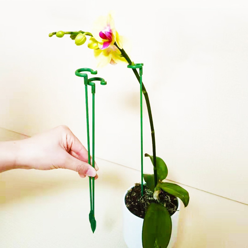 Set 10 Giá Đỡ Chậu Cây Thân Đơn Chống Gãy Cho Sân Vườn