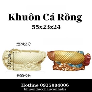 Khuôn đúc chậu cảnh Cá Chép Hoá Rồng, Nhựa ABS cao cấp, Dùng làm chậu cây cảnh xi măng bonsai