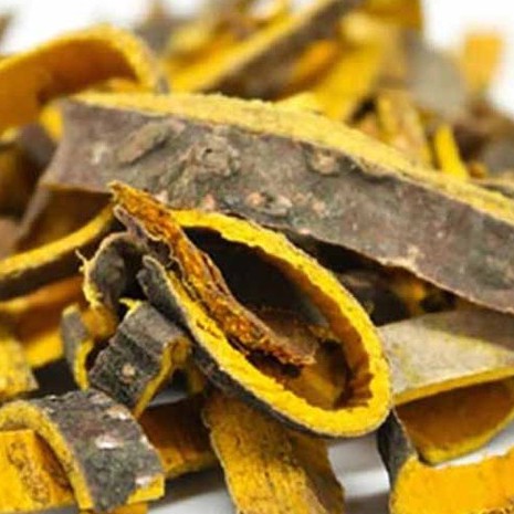 Cây hoàng bá khô thượng hạng JINDO 1kg