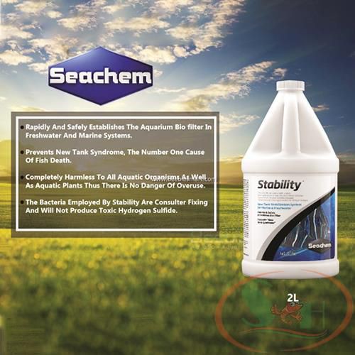 Vi sinh nước Seachem Stability 1L men xử lý làm trong nước bể cá tép thủy sinh