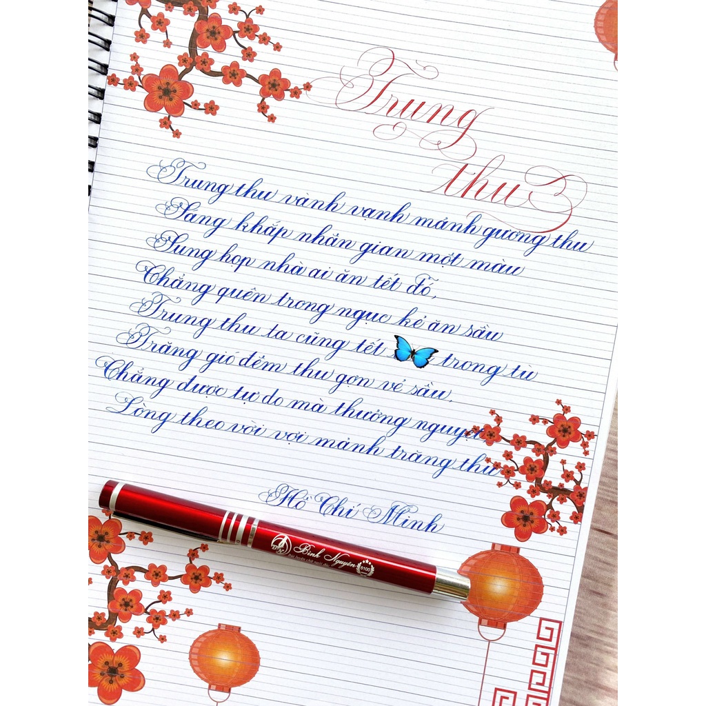 Bút máy luyện chữ đẹp nét thanh đậm ngòi Thép Bình Nguyên 6100