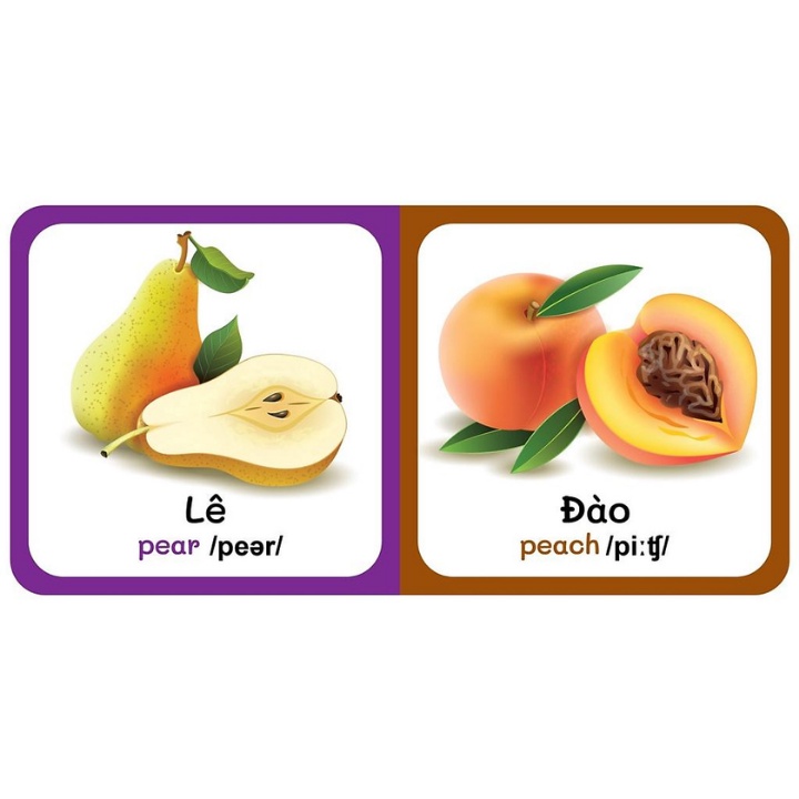 Sách - Từ Điển Bằng Hình Đầu Tiên Của Bé - Fruits - Trái Cây (Song Ngữ Anh-Việt)