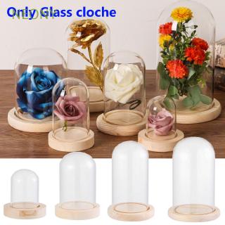 Lồng chụp thủy tinh hình tròn trong suốt độc đáo