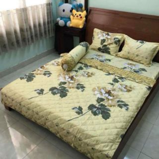 Chăn Ga Gối Poly 1m6