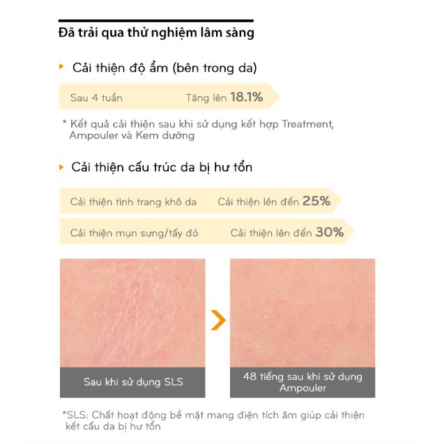 MBC Dòng phục hồi và chống lão hóa da khô từ keo ong MISSHA BEE POLLEN RENEW