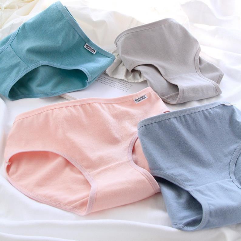 Quần Lót Cotton Màu Trơn Nữ_Quần Lót Pulo Co Giãn Mềm Mịn - LADY