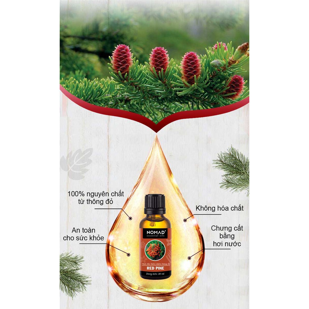 Tinh Dầu Thiên Nhiên Nguyên Chất 100% Thông Đỏ Nomad Essential Oil Red Pine