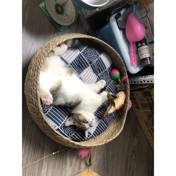 nhà cho chó mèo ổ đệm cói có lớp bông ấm áp cho mùa đông, chiếu tre mát mẻ cho mùa hè, đệm cói 4 mùa cho thú cưng