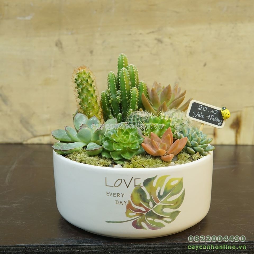Bộ 3 chậu trụ bẹt in hình decal chữ love, happy, smile, lucky chậu gốm sứ trồng cây để bàn đẹp rẻ