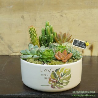 Bộ 3 chậu trụ bẹt in hình decal chữ love, happy, smile, lucky chậu gốm sứ trồng cây để bàn đẹp rẻ