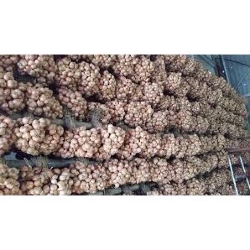✅1kg Hành khô,tỏi khô Kinh Môn loại 1 sạch thơm