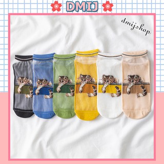 Tất nữ ren lụa in hình mèo nhiều màu dễ thương