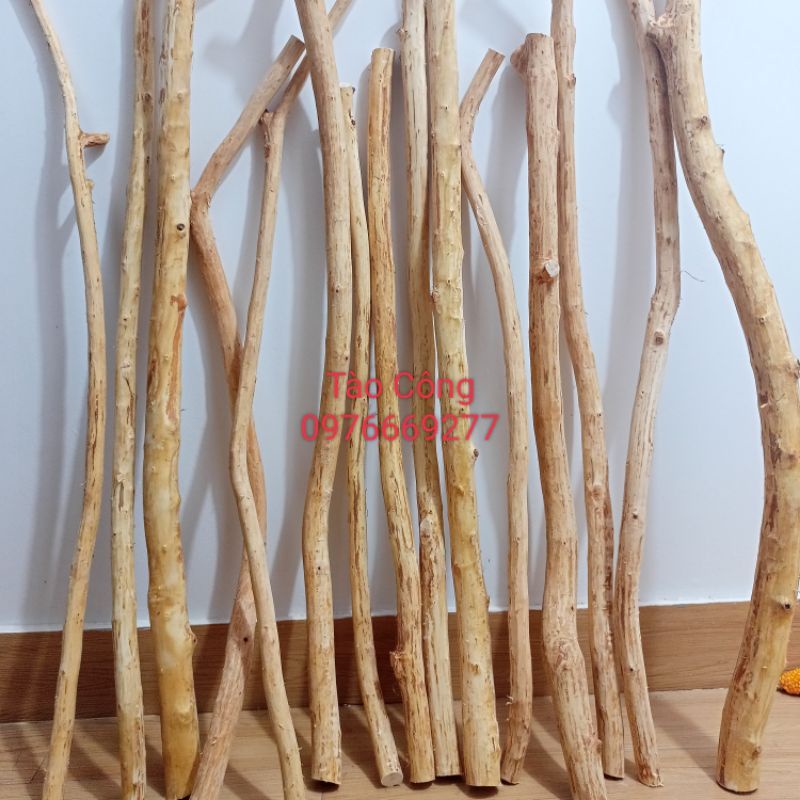 Cành cây khô thẳng tự nhiên decor trang trí 120cm