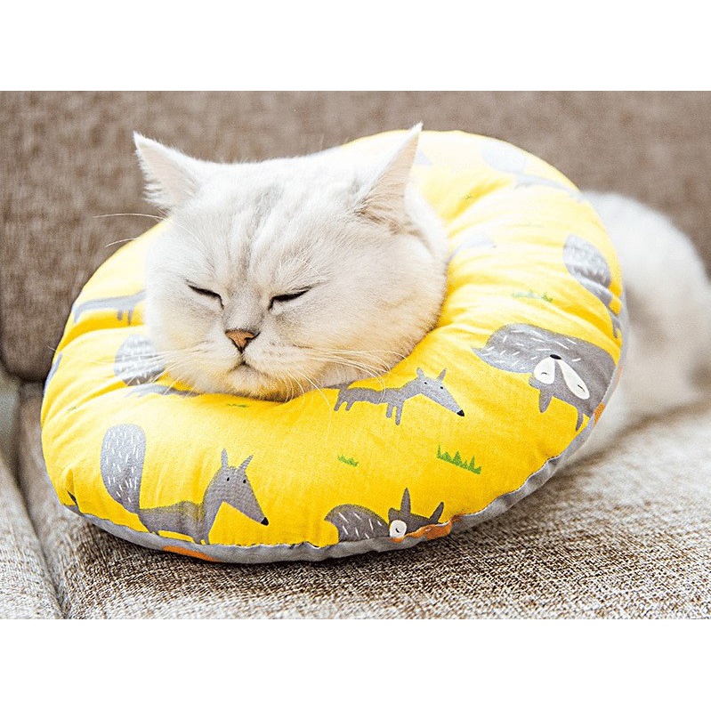 gối chụp cổ khi chó mèo khi bệnh hoặc cần thoa thuốc