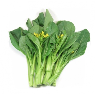 CẢI NGỒNG CẢI NGỌT BÔNG