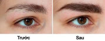 DƯỠNG MÀY EVELINE NGA EYEBROW THERAPY 8 IN 1