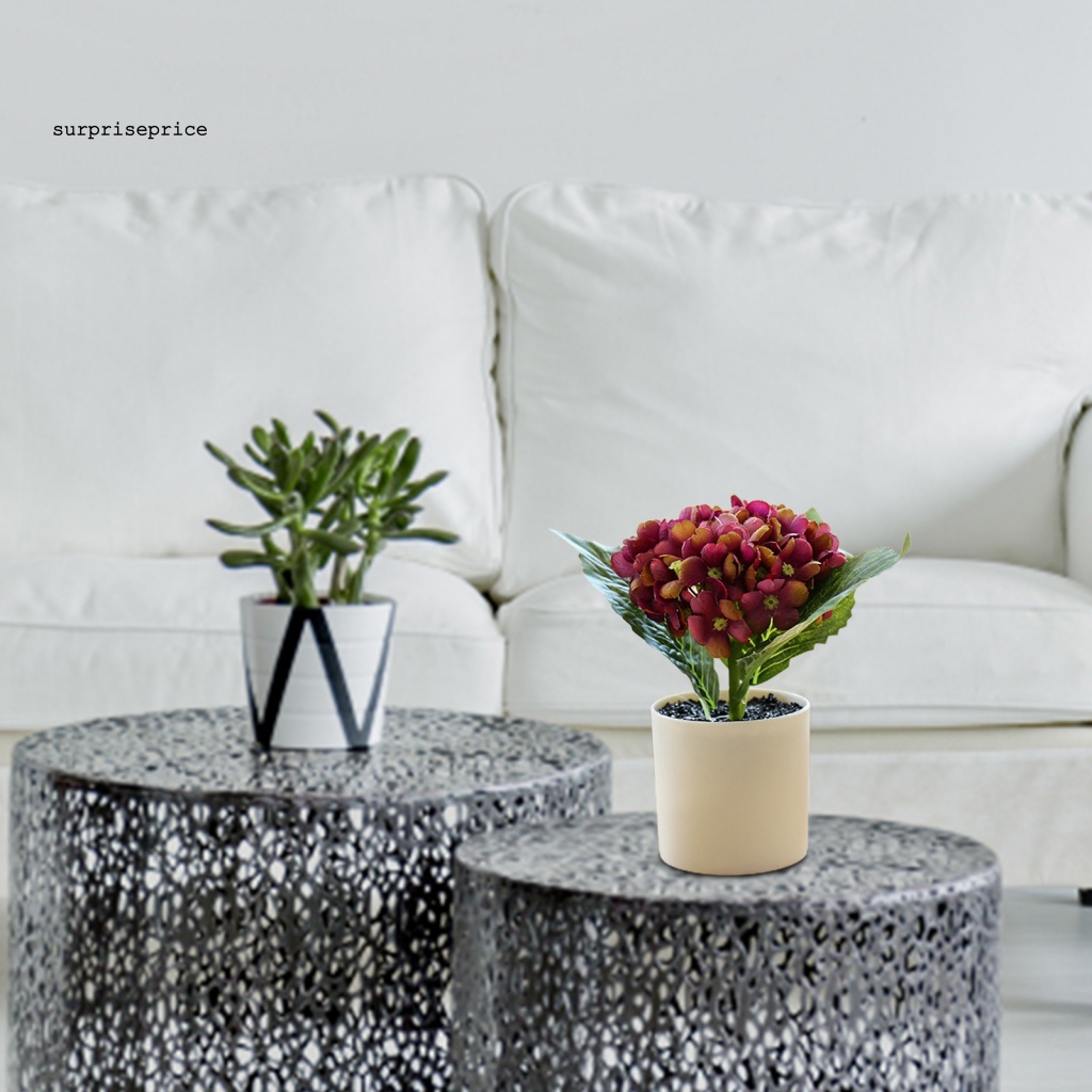 Chậu Cây Bonsai Nhân Tạo Chống Mòn Tiết Kiệm Không Gian Cho Khách Sạn / Bàn Làm Việc