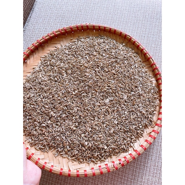 Hạt thì là ấn độ, Hạt cumin organic gia vị cho món phở, tạo mùi thơm cho món nướng