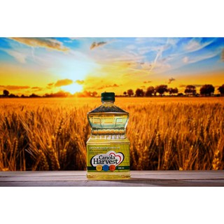 Dầu hạt cải Canola Harvest 946ml